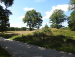 grafheuvel